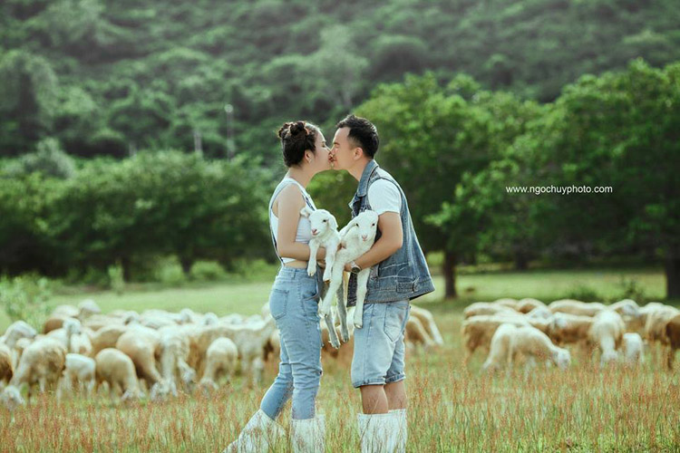 Cánh đồng cừu - Điểm chụp hình mới nổi tại Phan Thiết