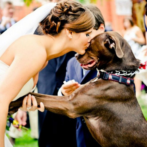 Chụp hình cưới với thú cưng
