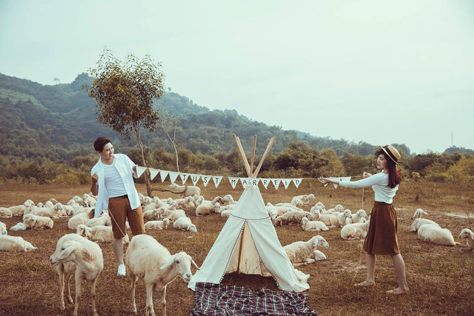 Gợi ý trang phục và đạo cụ khi chụp hình cưới tại đồng cừu