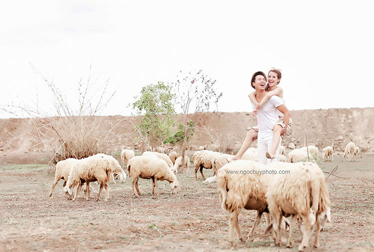 Gợi ý trang phục và đạo cụ khi chụp hình cưới tại đồng cừu
