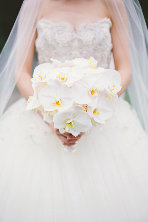 Những bó hoa cưới màu trắng tuyệt đẹp