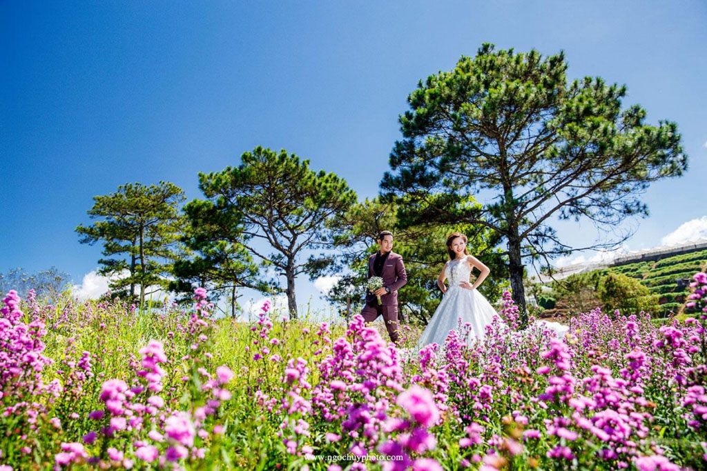 Ý tưởng chụp hình cưới với những màu hoa trong album Ngọc Huy