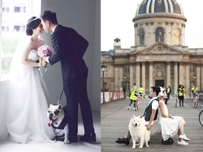 Mốt chụp hình cưới cực đáng yêu với cún cưng